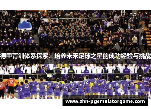 德甲青训体系探索：培养未来足球之星的成功经验与挑战