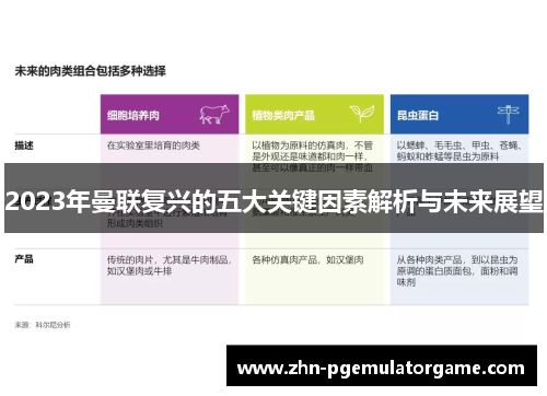 2023年曼联复兴的五大关键因素解析与未来展望