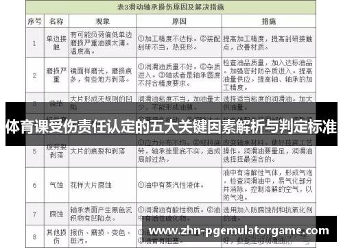 体育课受伤责任认定的五大关键因素解析与判定标准