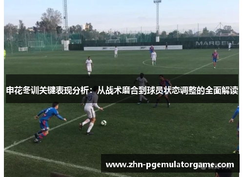 申花冬训关键表现分析：从战术磨合到球员状态调整的全面解读