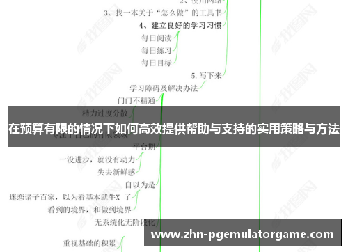 在预算有限的情况下如何高效提供帮助与支持的实用策略与方法