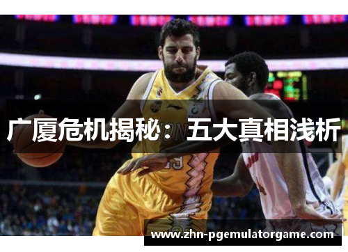广厦危机揭秘：五大真相浅析