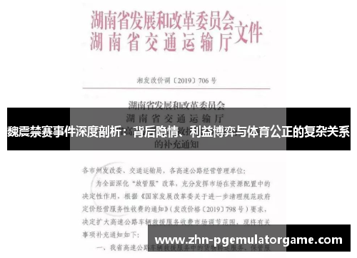 魏震禁赛事件深度剖析：背后隐情、利益博弈与体育公正的复杂关系
