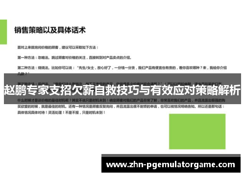 赵鹏专家支招欠薪自救技巧与有效应对策略解析