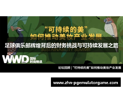 足球俱乐部辉煌背后的财务挑战与可持续发展之路
