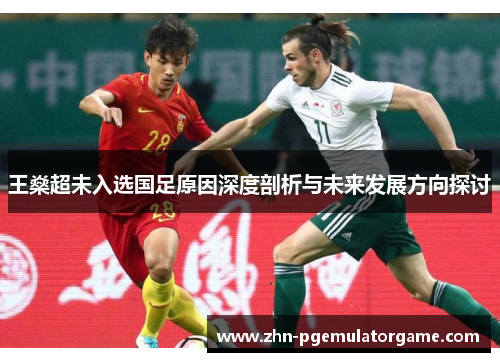 王燊超未入选国足原因深度剖析与未来发展方向探讨