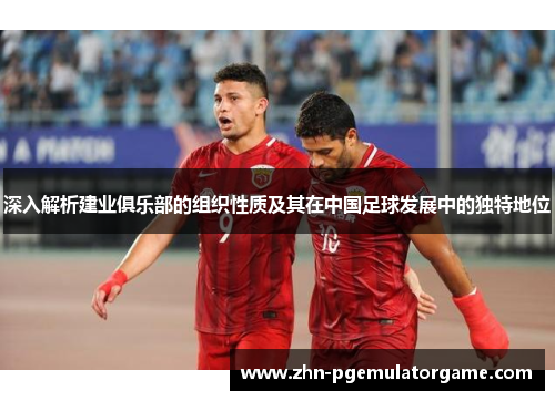 深入解析建业俱乐部的组织性质及其在中国足球发展中的独特地位