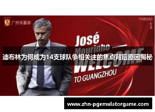 迪布林为何成为14支球队争相关注的焦点背后原因揭秘