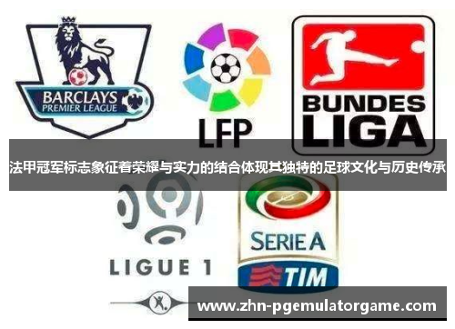 法甲冠军标志象征着荣耀与实力的结合体现其独特的足球文化与历史传承