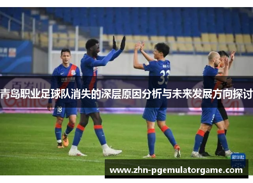 青岛职业足球队消失的深层原因分析与未来发展方向探讨 青岛职业足球队消失的深层原因分析与未来发展方向探讨