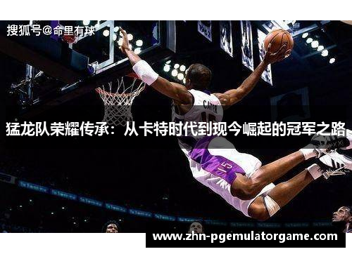 猛龙队荣耀传承：从卡特时代到现今崛起的冠军之路