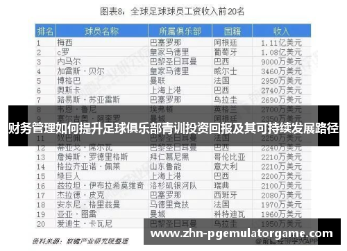 财务管理如何提升足球俱乐部青训投资回报及其可持续发展路径