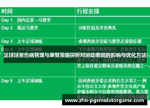 足球球星伤病管理与康复策略探析对运动表现的影响与优化方法