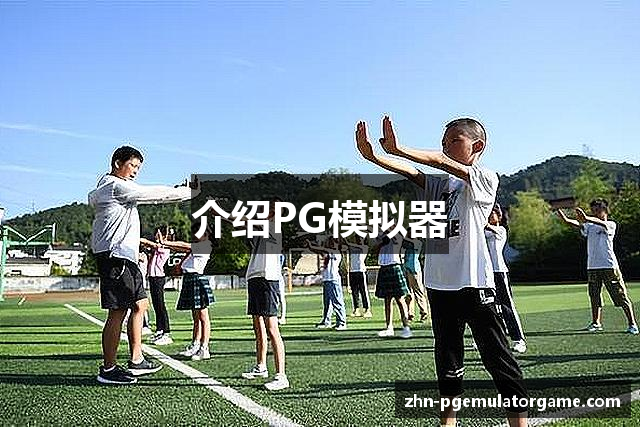 介绍PG模拟器